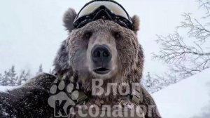медведи на СВО, влог Косолапого