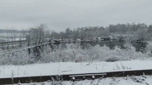 Мой день, уроки с внуком и поход в магазин. Разочарования.