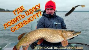 ГДЕ ЛОВИТЬ ЩУКУ ОСЕНЬЮ??? | УГЛИЧСКОЕ ВОДОХРАНИЛИЩЕ |