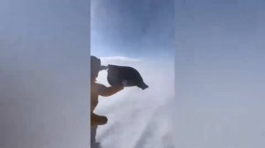 #смешныевидео -305