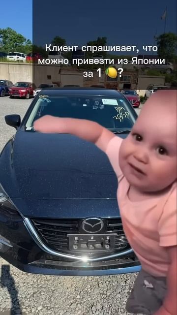 Суровая реальность