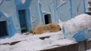 Дорогой Кай, с днём рождения! 27.11.2025