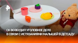 Нижегородский СК возбудил дело об истязаниях в детском саду Городца