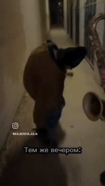 28-11-2025прикол смотреть онлайн