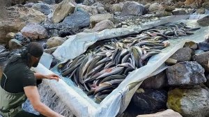 Необычные способы для ловли крупной рыбы.