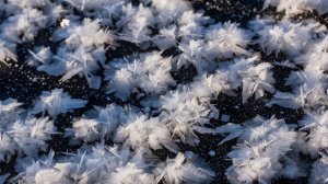 Ледяные цветы на реке в Китае и Монголии-обычное природное явление