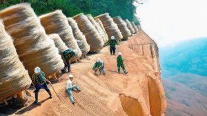 Они Бросили Тонны Овечьей Шерсти в Пустыне с Умирающими Реками, и Результат Был Безумным