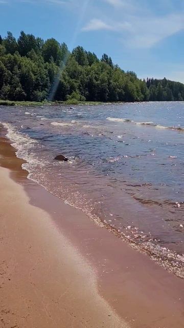 Карелия 2025. Пляжи Видлицы. Июль 2025г (Часть 2) смотреть онлайн