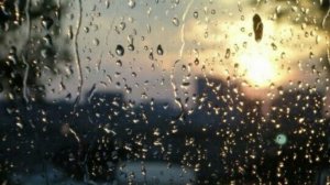 Выжег дотла