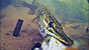 Лучшая ловля рыбы с подводной камерой. Зимнее озеро. Зимняя рыбалка и охота. Лучшая рыбалка