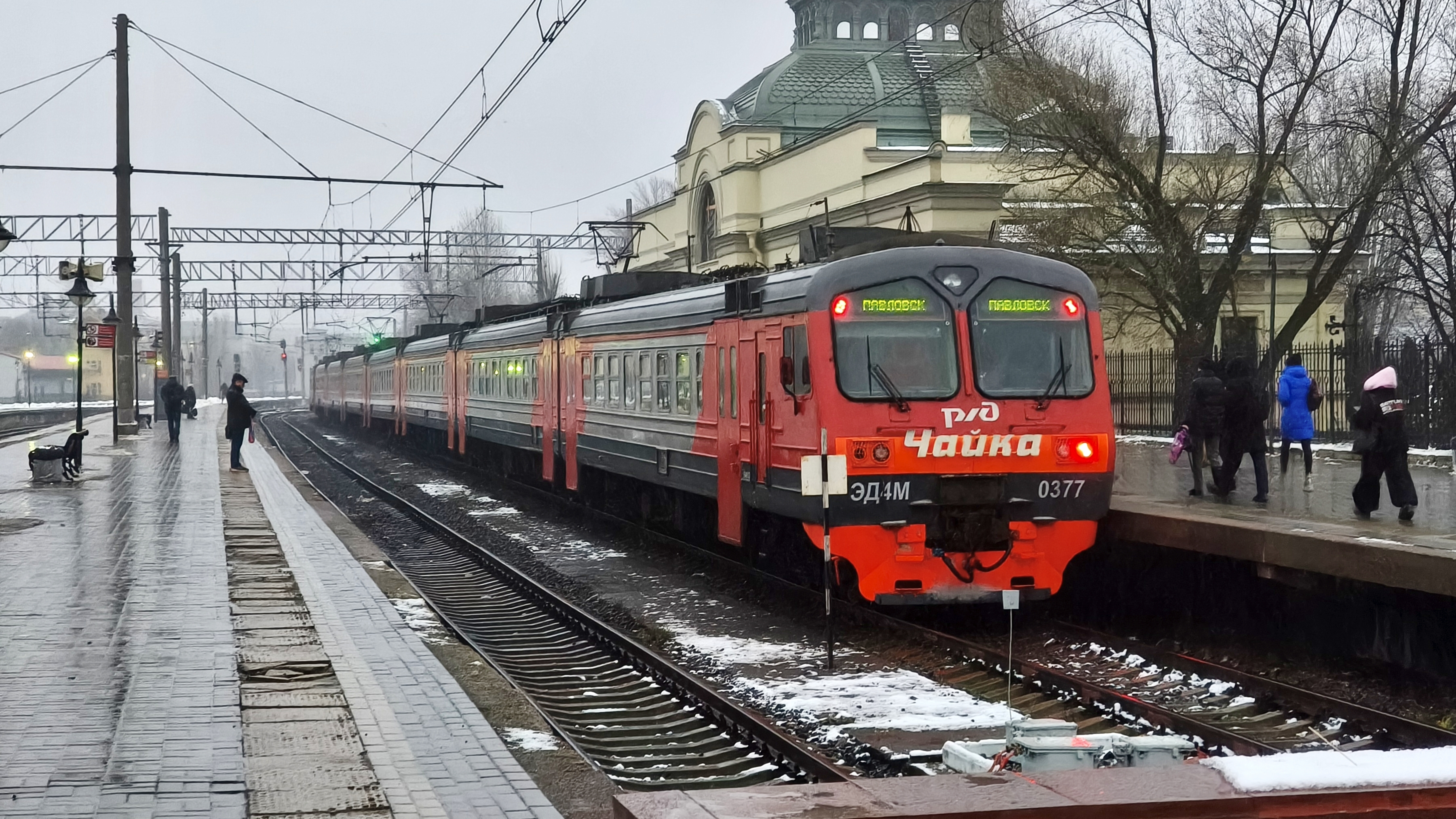 Поездка на ЭД4М 0377 "Чайка" Павловск - Санкт-Петербург