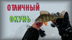 На снегоходе за окунями в конце бонус получил.