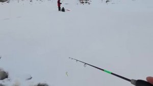 Рыбалка по первому льду 2025-26!❄️Ловим щуку и окуня со льда!Рыбалка с GARMIN PANOPTIX.