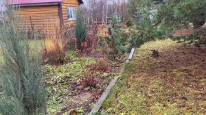 На дачу. Покупки. Поставили двери. Декоративные шары из мха