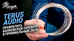 Искусство превратить банковское серебро в премиальный звук - Terus Audio