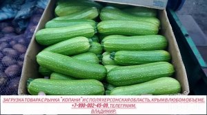 24-11-2025 Цены сегодня рынок Копани Херсонская область