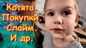 Болталка. Покупки и обзоры. Животные. Игрушки для котят. (11.25г.) Семья Бровченко.