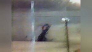 All Drivers Fatal crash NASCAR (1952-2001)