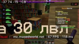 играю на сервере майнкрафт