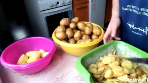 28-11-2025 Картошка от соседей / сегодня мороз / опять проращиваю маш / куры.