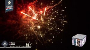 vh120-80-01 Фрегат