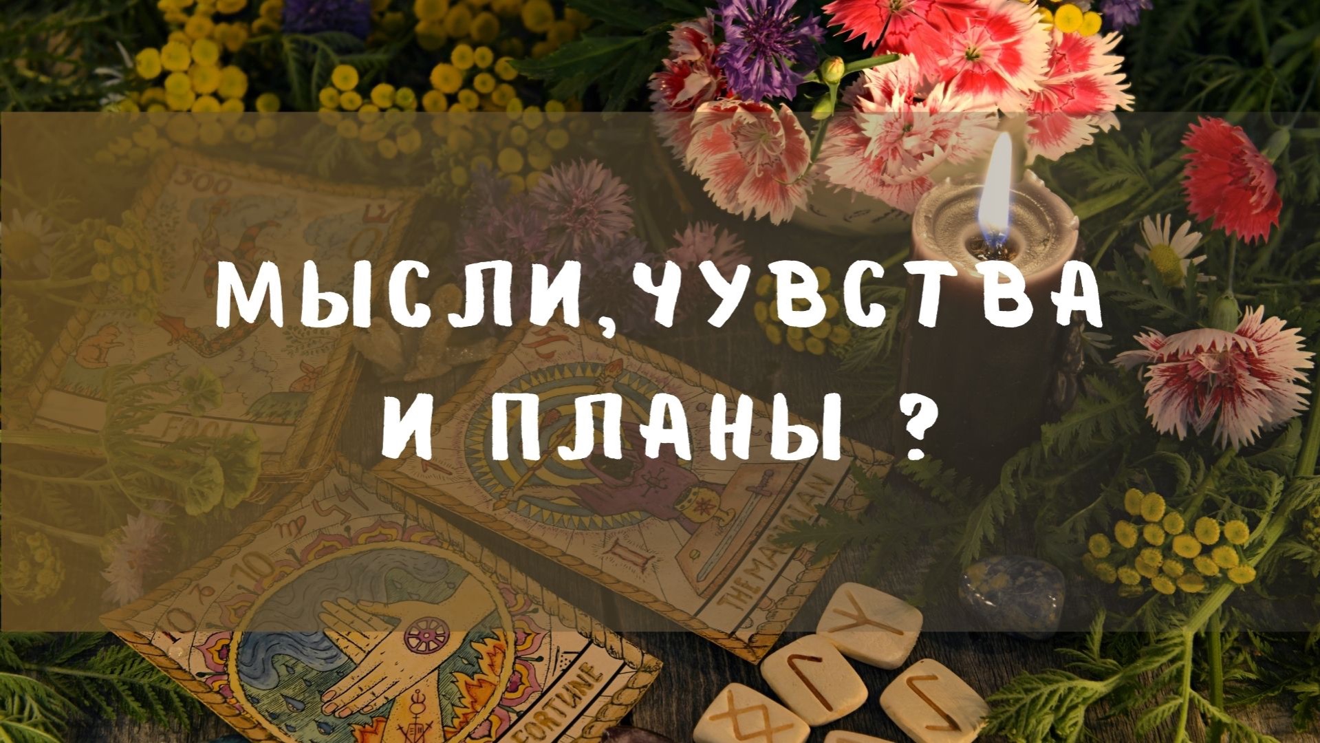 Мысли,чувства и планы ?