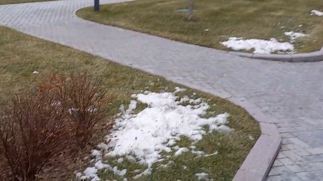 У Воскресенского собора. Новый Иерусалим. 27 ноября