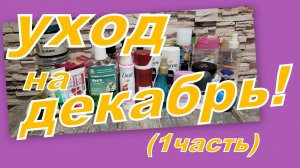 УХОД НА ДЕКАБРЬ (1 часть)