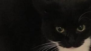 НОУНЕЙМЫ С ГАЛОЧКОЙ