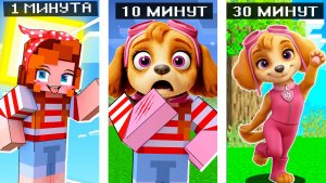 😂 КАК МЕНЯЛАСЬ ДЕВУШКА СКАЙ ЩЕНЯЧИЙ ПАТРУЛЬ В МАЙНКРАФТ