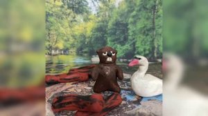 Глаза и уши