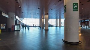 Международный аэропорт Елизово имени Витуса Беринга 25.11.2025 г.