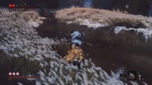 Бой с иным Иссином, Мастером меча (Fight with another Issin, the Master of the Sword)