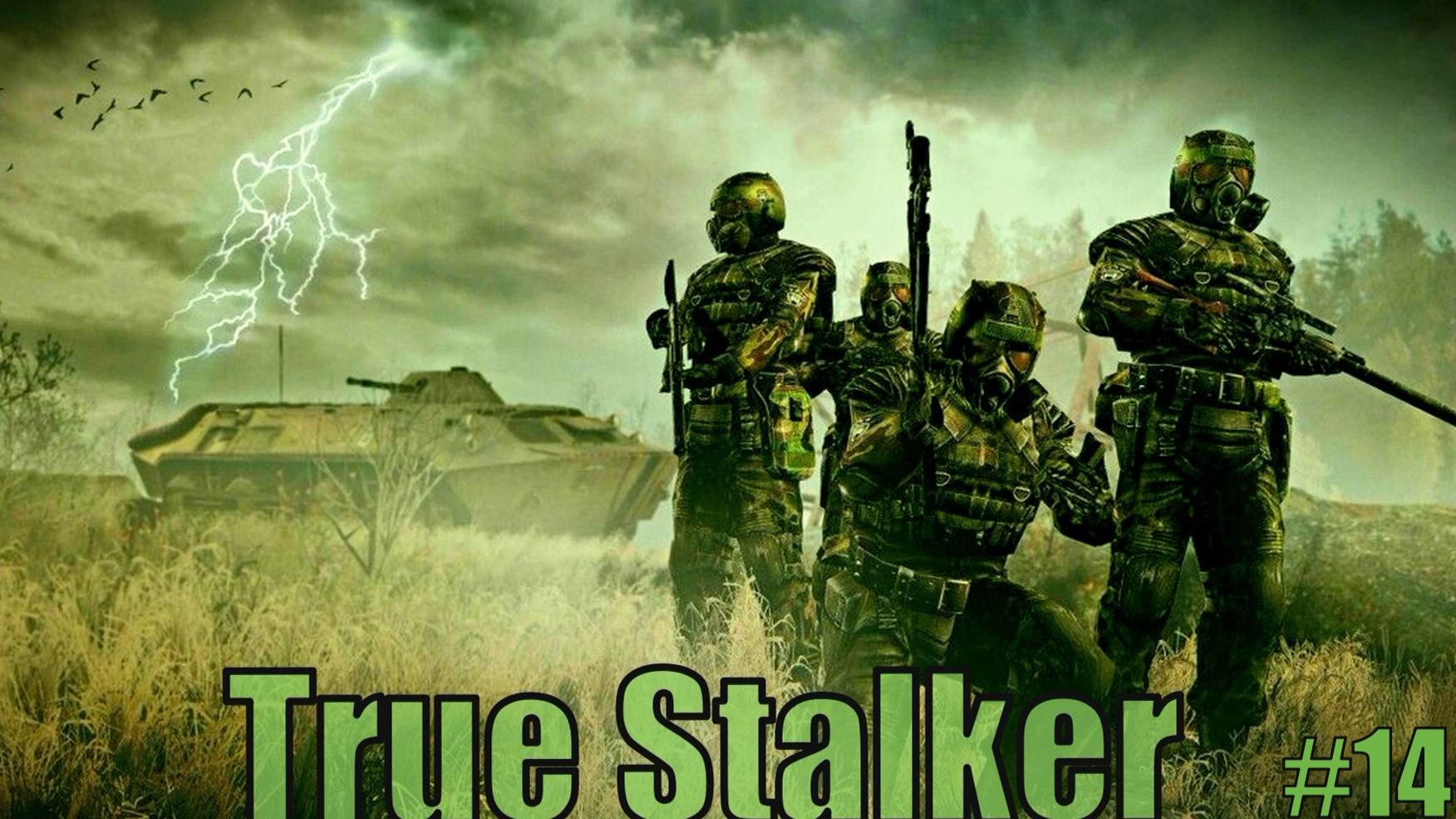 Прохождение S.T.A.L.K.E.R - True Stalker Серия 14 Янтарь сбор Инфориации смотреть онлайн