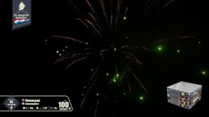 vh120-100-03 Командор