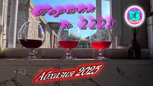 #Абхазия2025🌴 28.11.25г.🔥 Выпуск № 2229❗вчера +19°🌡ночью +11°🌡море +16,1°🐬