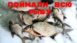 Самый Крутой Улов. Поймали Всю Рыбу. Лучшая Зимняя рыбалка. Самые Крутые Рыбаки. Ловим на Братском