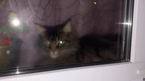 Коротаем вечерок!