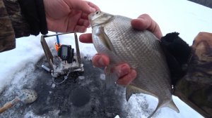 Безмотылка рыбалка на чёртик глухозимье