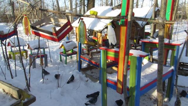 ГОЛУБИ ЛЕНИНСКИЙ ПАРК НА НЕФТЯНИКЕ ХАБАРОВСК 30 декабря 2024 г (Ролик+Слайд)