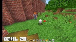 Прожил 100 дней за курицу. Тумка