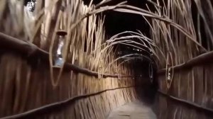 Сексуальные красотки в купальниках (Эротика) 18+