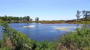 Магнитогорск, лесопарковая зона по улице Советской, озеро Тяпкино, будущий курорт (24.05.2021)