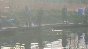 Желтый маггот