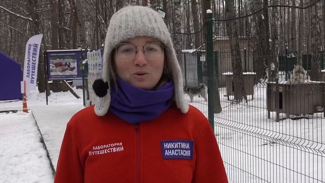 По пути с хаски: отчётный ролик