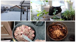 Замерзла, аж мозги скукожились🥶