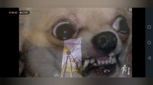 Rutubers edit | made by vani17k