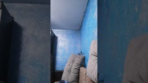 Стрим про меня