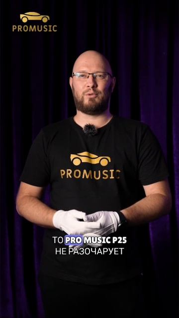 Citroen Berlingo 2 B9 + Pro Music P25