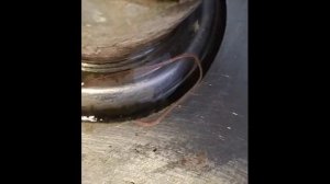 Червяк в фонтанчике